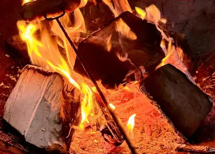 U Jedrusia * Żywiec